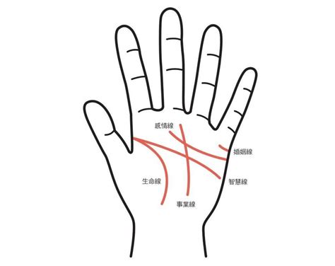 手相雜亂|【手相館】掌紋 (生命線、感情線、智慧線、婚姻線、太陽線、火。